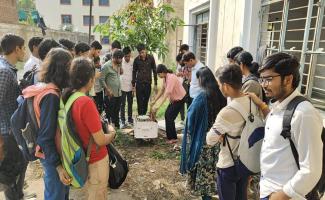Bee practicals